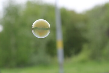 soap bubbles in the park