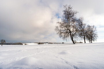 Fantastic snowy winter landscape near Heiligenberg on Lake Constance