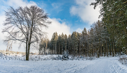 Fantastic snowy winter landscape near Heiligenberg on Lake Constance