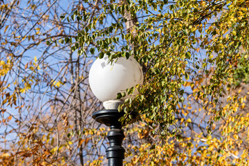 Decorative lantern in the autumn park.