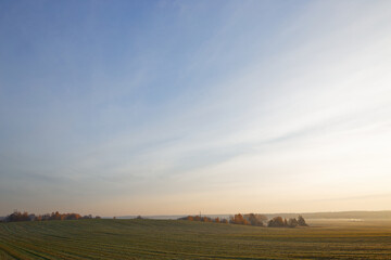 green winter field in autumn at sunrise
