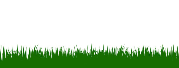 Green grass vector foreground on white background