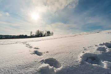 Fototapeta na wymiar Fantastic snowy winter landscape near Heiligenberg on Lake Constance