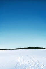 Ski track illustration. Vertical background, winter resort
