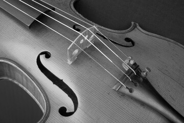 Black and white closeup image of a violin