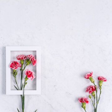 Top view of beautiful carnation and gift on marble white table background.