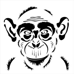 Vector illustration of monkey. Symbol of wild animal and safari.