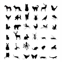 Fototapeta premium Collection of vector silhouette of farm and wild animal. Symbol of nature and creatures.