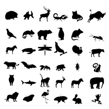Collection of vector silhouette of farm and wild animal. Symbol of nature and creatures.