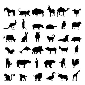 Collection of vector silhouette of farm and wild animal. Symbol of nature and creatures.