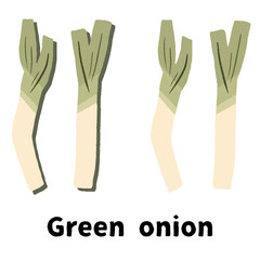 Simple green onion illustration (with shadow)