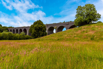 Obraz premium Summer meadows in front of the derelict and abandoned viaduct near Catesby, Northamptonshire, UK