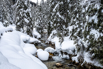 Trentino, escursione in Val Venegia