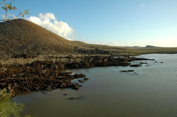 Galapagos