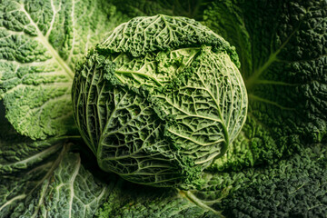 Fototapeta premium Still life of savoy cabbage closeup