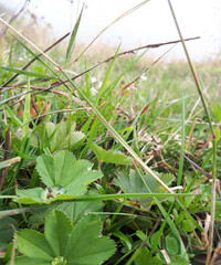 Amazing landscape photos and blackberries and water drop