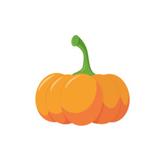 Ripe orange pumpkin isolated on a white background. Vector illustration in cartoon style. Organic bright pumpkin, autumn design pattern, eco-food concept, graphic design element