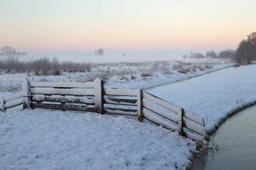 Foto auf Leinwand Naardermeer in winter, Naardermeer in winter © AGAMI