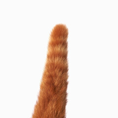 Cat tail