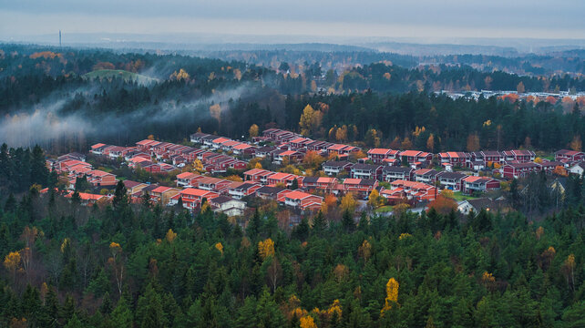 Aerial View European Suburb in Forest