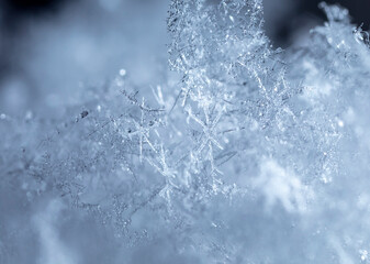 snapshot of a small snowflake taken during a snowfall