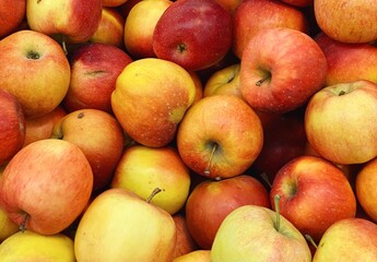 set of ripe apples close up