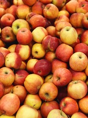 set of ripe apples close up