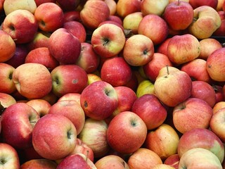 set of ripe apples close up