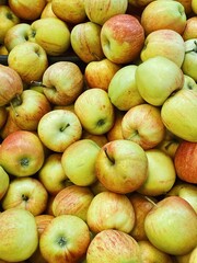 set of ripe apples close up