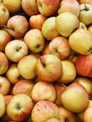 set of ripe apples close up