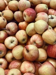 set of ripe apples close up