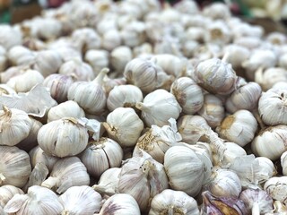 set of garlic top view for food patterns