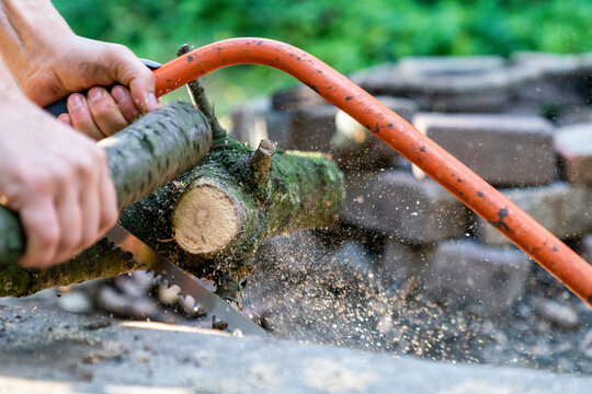 Sawing wood motion pictures