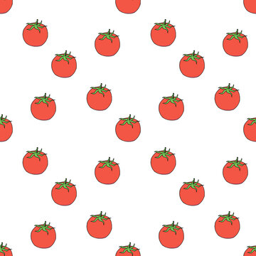 Seamless pattern with tomato on white background. Vector image.
