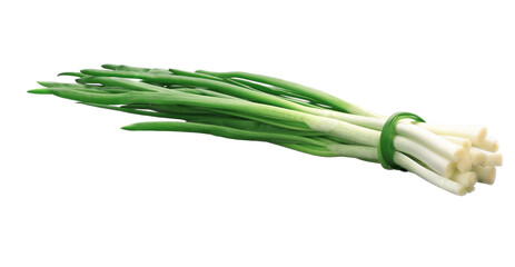 green fresh onion feathers are gathered in a bunch on a white isolated background