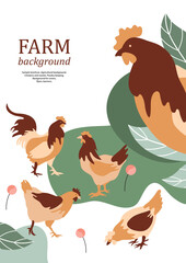 Sample brochure. Agricultural background. Chickens and rooster. Poultry keeping.