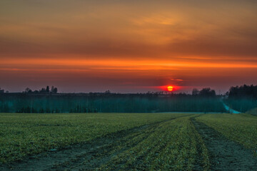 Fototapeta na wymiar Scenic View Of Field Against Sky During Sunset