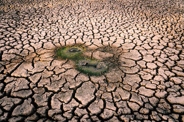 crack dry ground crisis of water in the world.