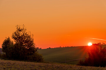 Sun behind the horizon lying between the trees in the background is an orange sky without clouds and sunbeams shining through the surroundings.