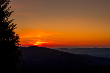 Sun setting over a horizon of orange hills with a coniferous tree on the left and clouds moving in the background over the Beskydy countryside.