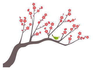 紅梅とメジロのイラスト