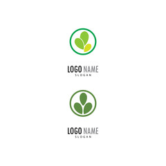 Moringa leaf Logo Template vector symbol nature