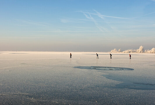 Oostvaardersplassen Netherlands, Oostvaardersplassen Nederland