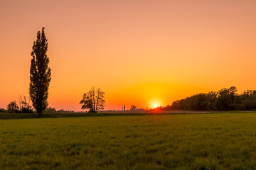 Sun on the horizon behind the main road during an afternoon test with passing cars and the sun on the horizon setting behind the trees.