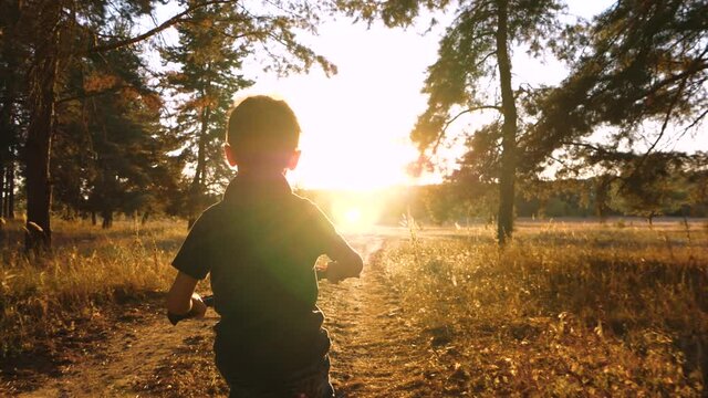 Happy boy enjoying bike riding. A child rides through the forest or park on a bicycle in the rays of the sun during sunset. Outdoor recreation, interaction with the environment.