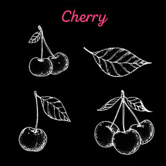 Cherry hand drawn vector illustration. sketch. Cherries vector illustration. Black and white.
