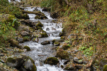 Fast mountain river Beshenka flows among stones and trees. Urban-type settlement Krasnaya Polyana resort in Caucasus Mountains near Sochi. Landscape of fast river with small waterfalls.