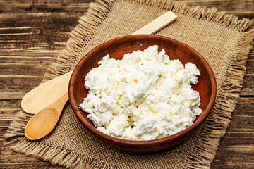 Organic homemade cottage cheese or curd in bowl