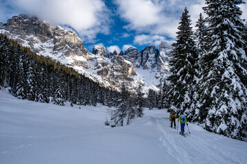Fototapeta na wymiar Trentino, escursione in Val Venegia