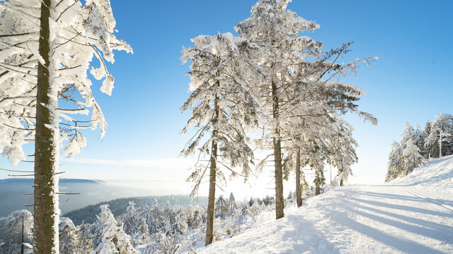 Atemberaubendes Panorama, Landschaft im Winter mit Schnee auf der Schwarzwaldhochstra&szlig;e Mummelsee Hornisgrinde Seebach im Schwarzwald, mit blauem Himmel und Sonnenschein